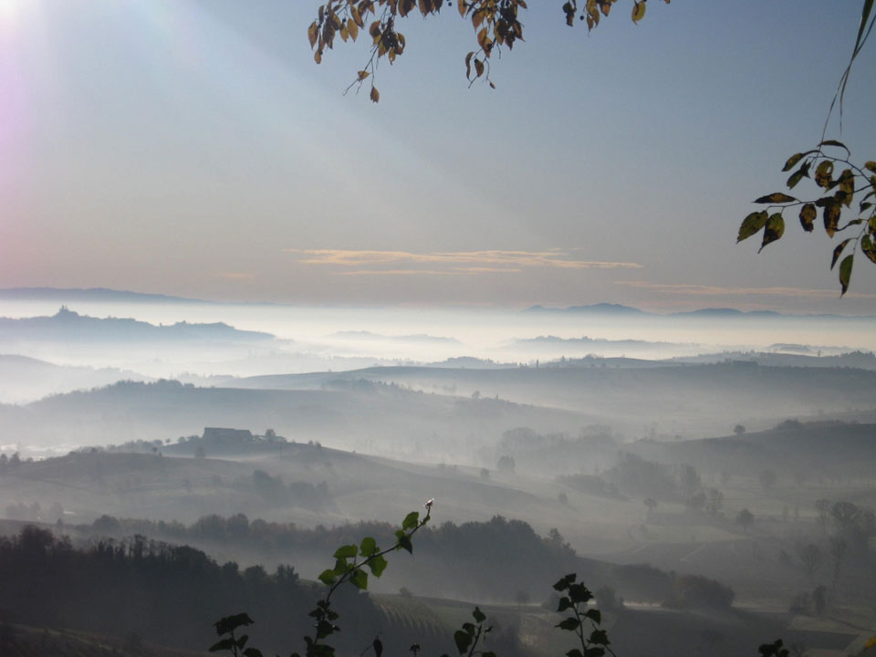 Foschia nelle colline del Monferrato