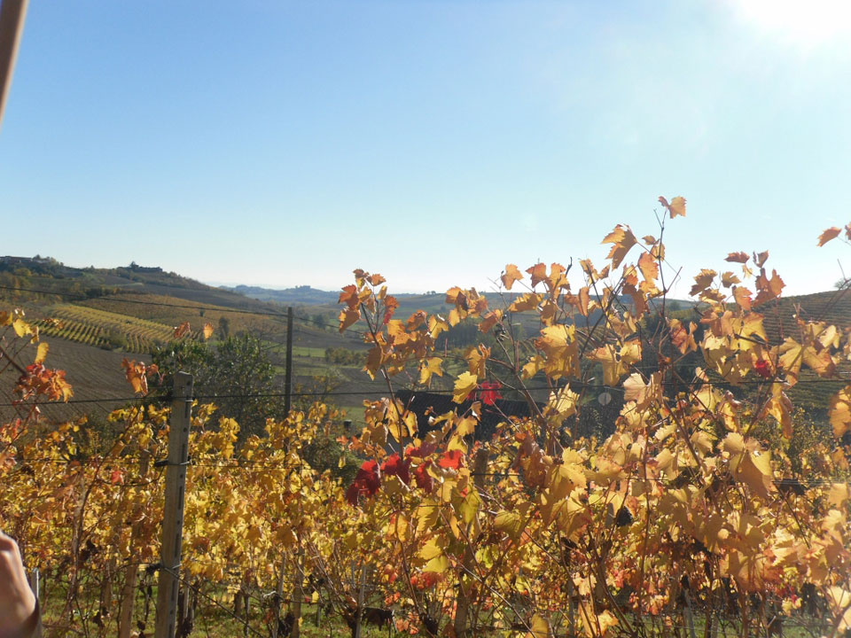 Colori dell'Autunno