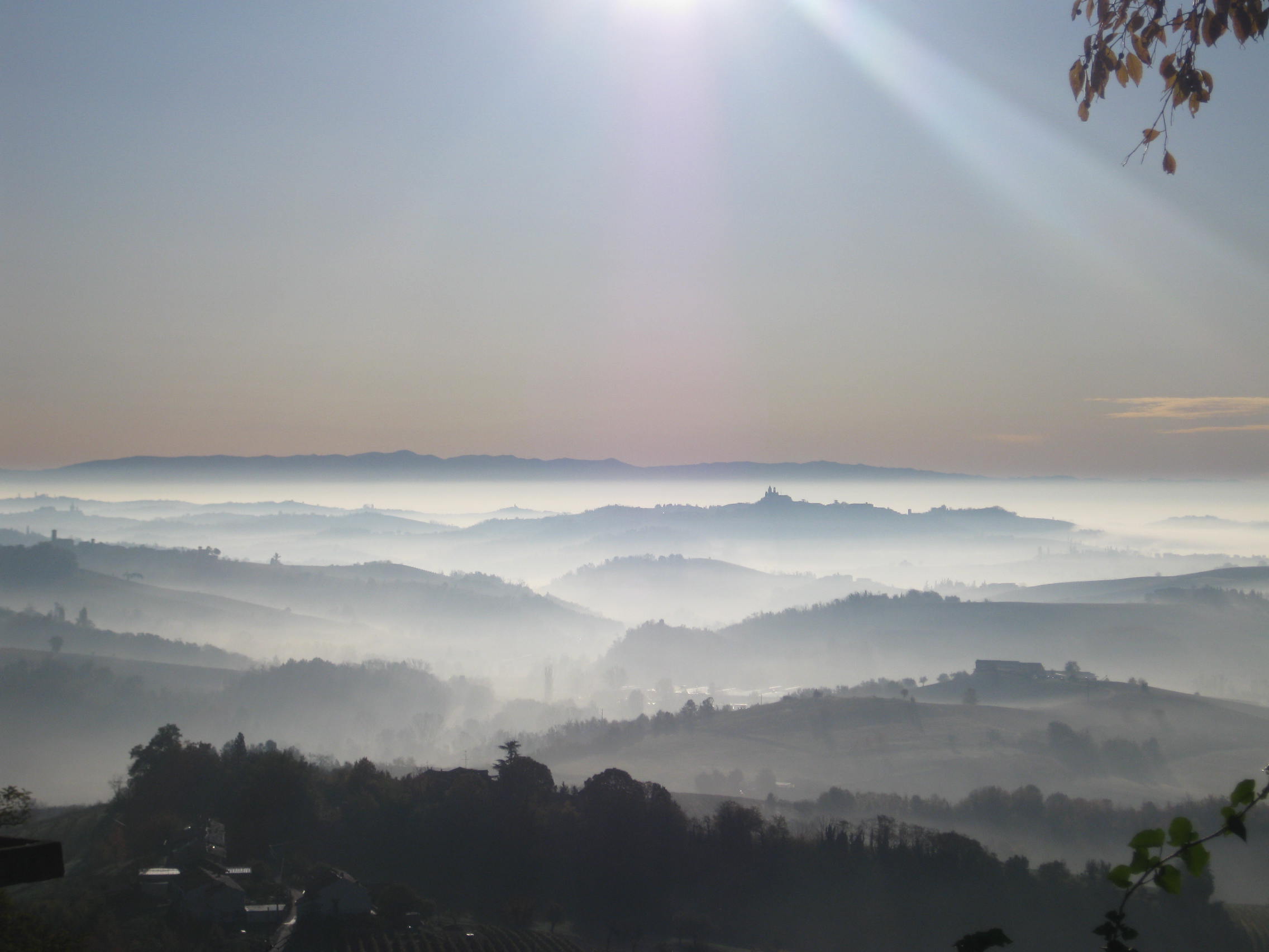 Barbera Chinato - Agricola Sulin
